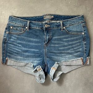 Torrid Jean Shorts